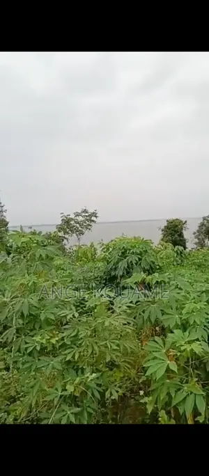 Terrain 400 M2 Avec Acd en Vente À Yamoussoukro