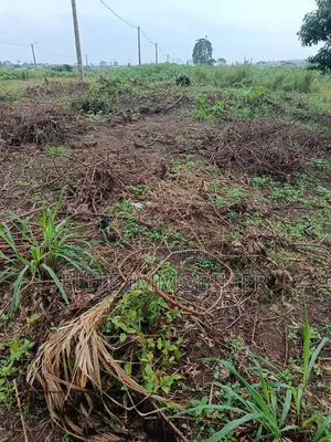 Terrain en Vente a Bonoua