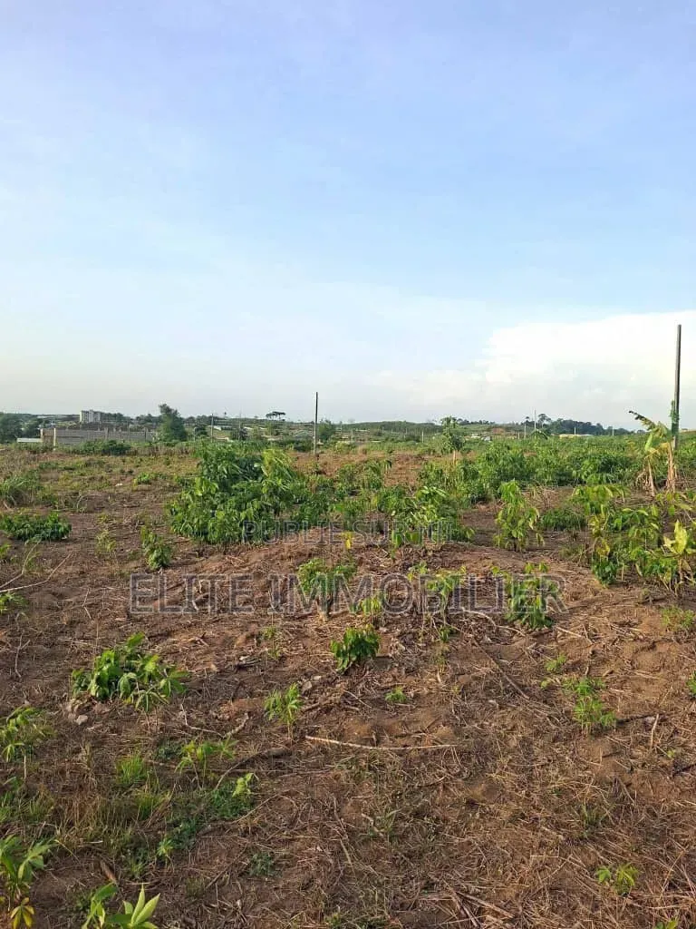 Terrain en Vente a Bonoua