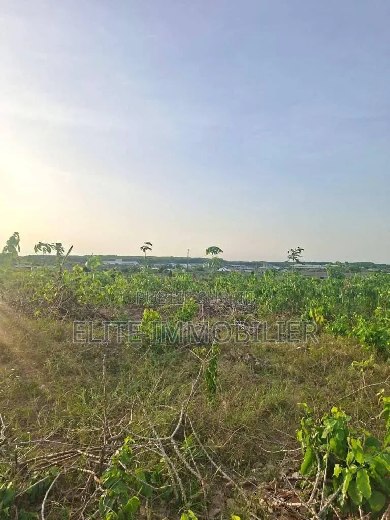 Terrain en Vente a Bonoua