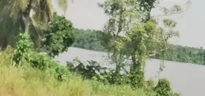 Terrain Rare À Assinie 1, 5ha Avec Acd En Bordure De Lagune