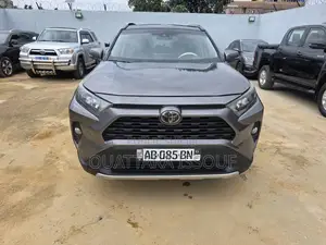 Toyota RAV4 Limited AWD 2020 Gris