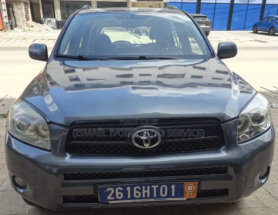 Toyota RAV4 2009 Gris
