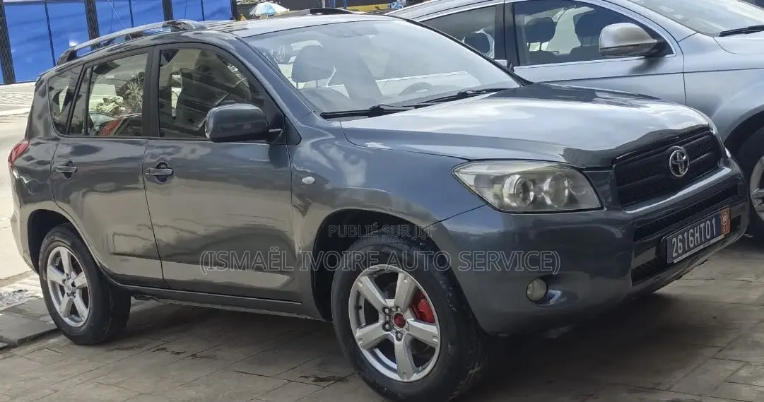 Toyota RAV4 2009 Gris