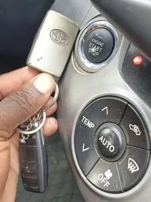 Toyota RAV4 2009 Gris