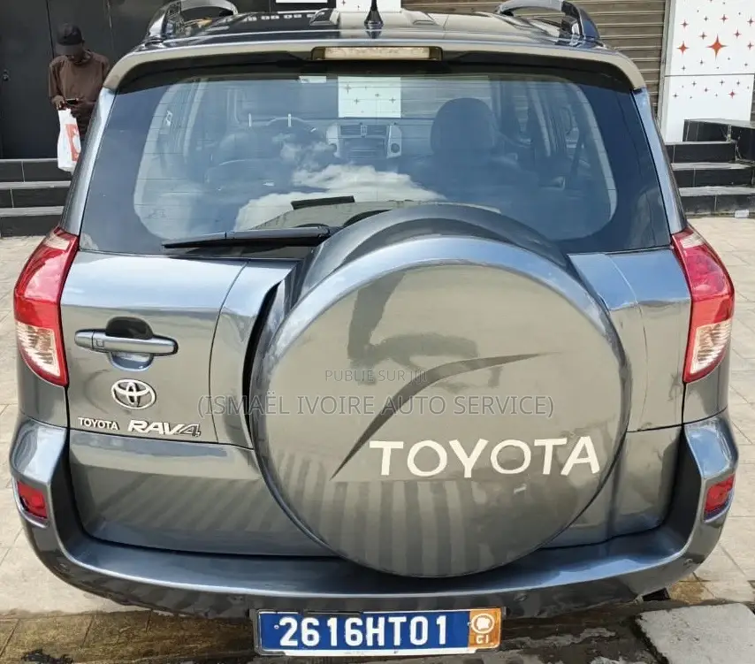 Toyota RAV4 2009 Gris
