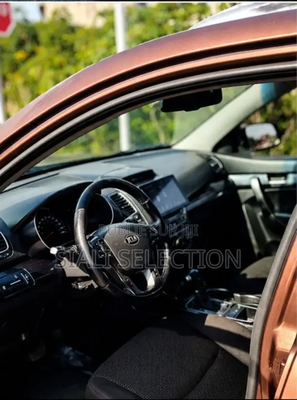 Kia Sorento 4dr SUV 2016 Marron