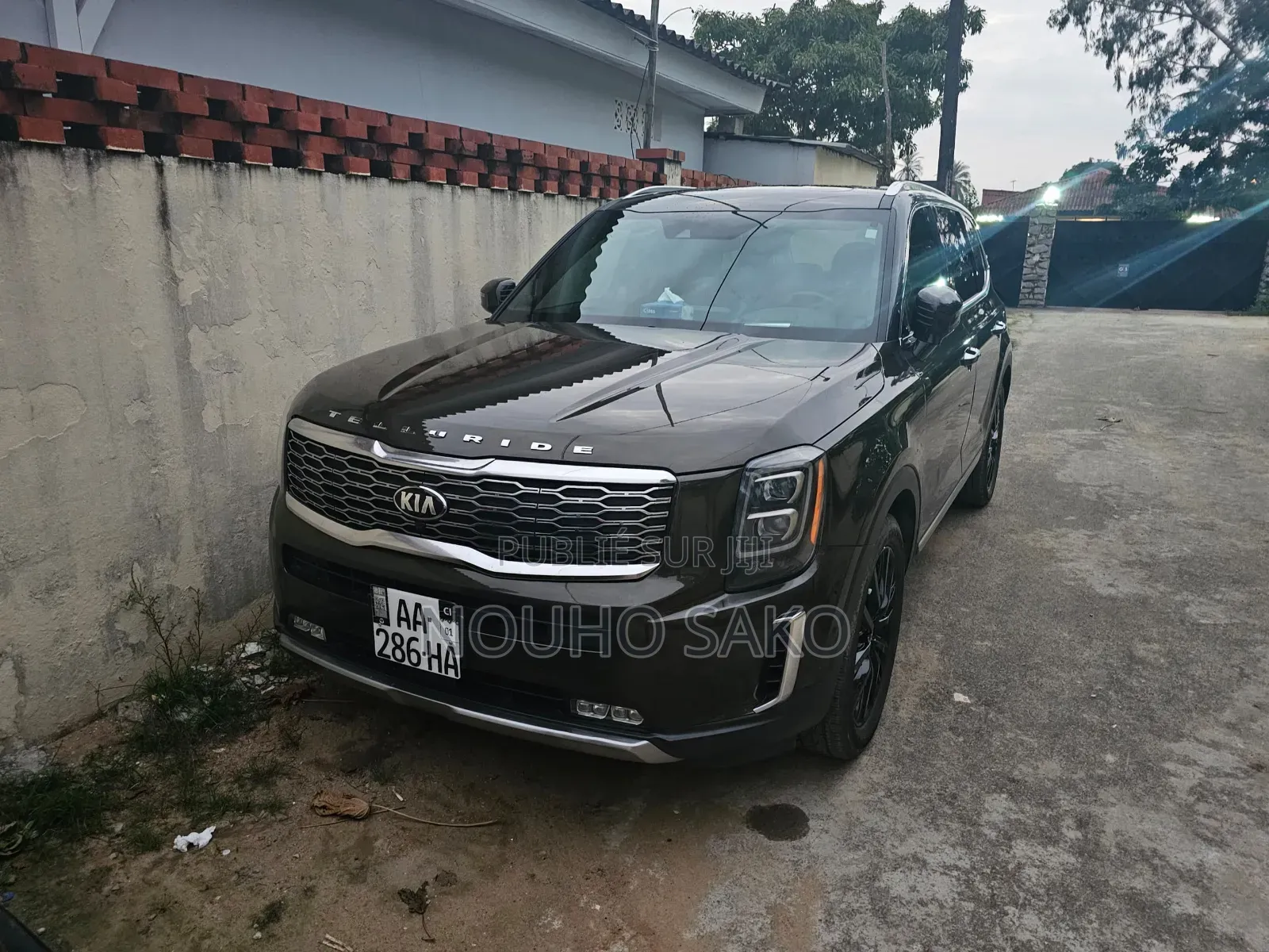 Kia Telluride 2020 Gris