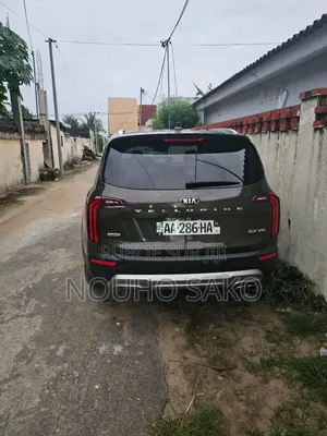 Kia Telluride 2020 Gris