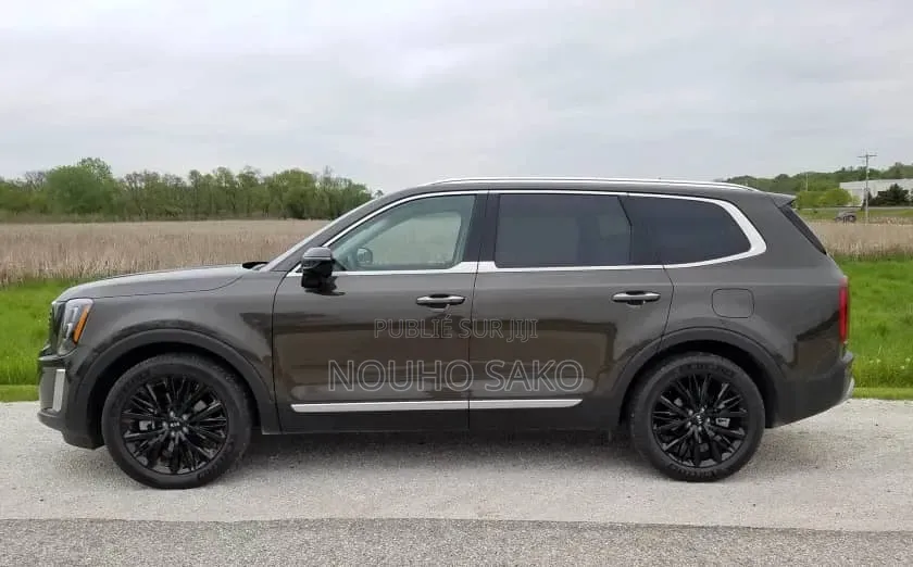 Kia Telluride 2020 Gris