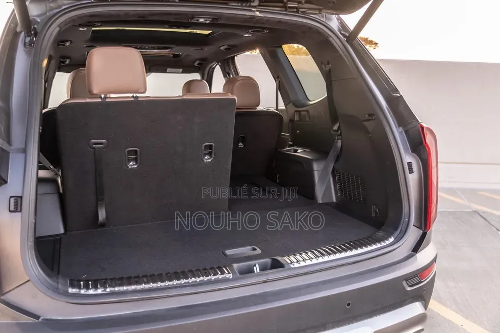 Kia Telluride 2020 Gris
