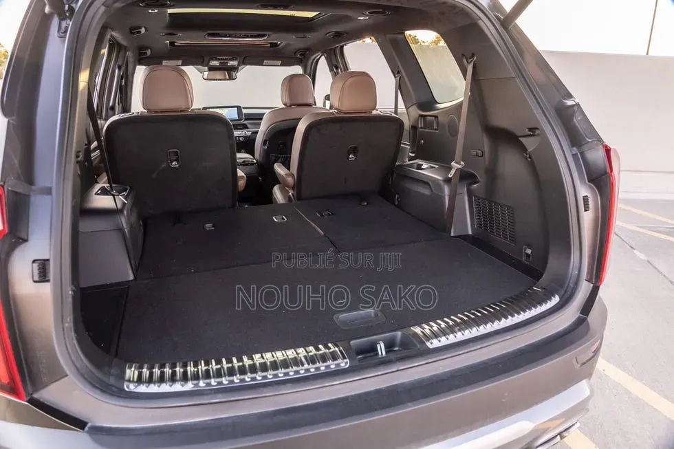 Kia Telluride 2020 Gris