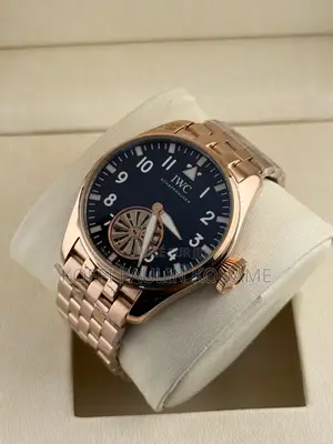 Montre Homme Iwc Originale Et Automatique