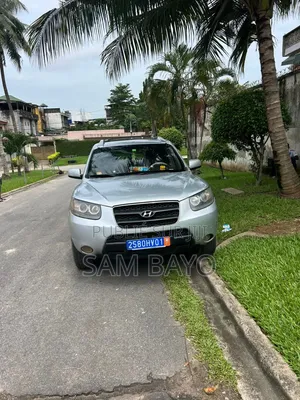 Hyundai Santa Fe 2008 Gris