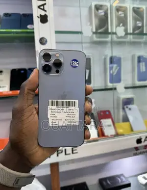 Nouveau Apple iPhone 13 Pro Max 256 GB Bleu