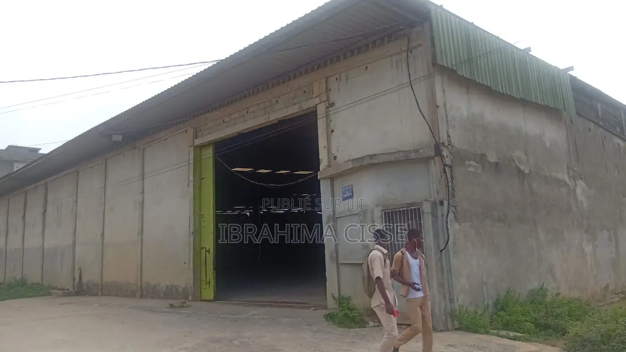 Alfalah Immobilier Avis De Vente À N’Dotre*