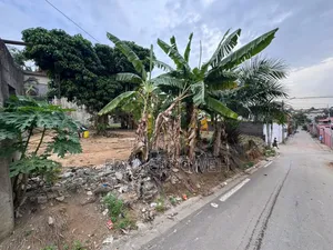 Terrain en Vente
