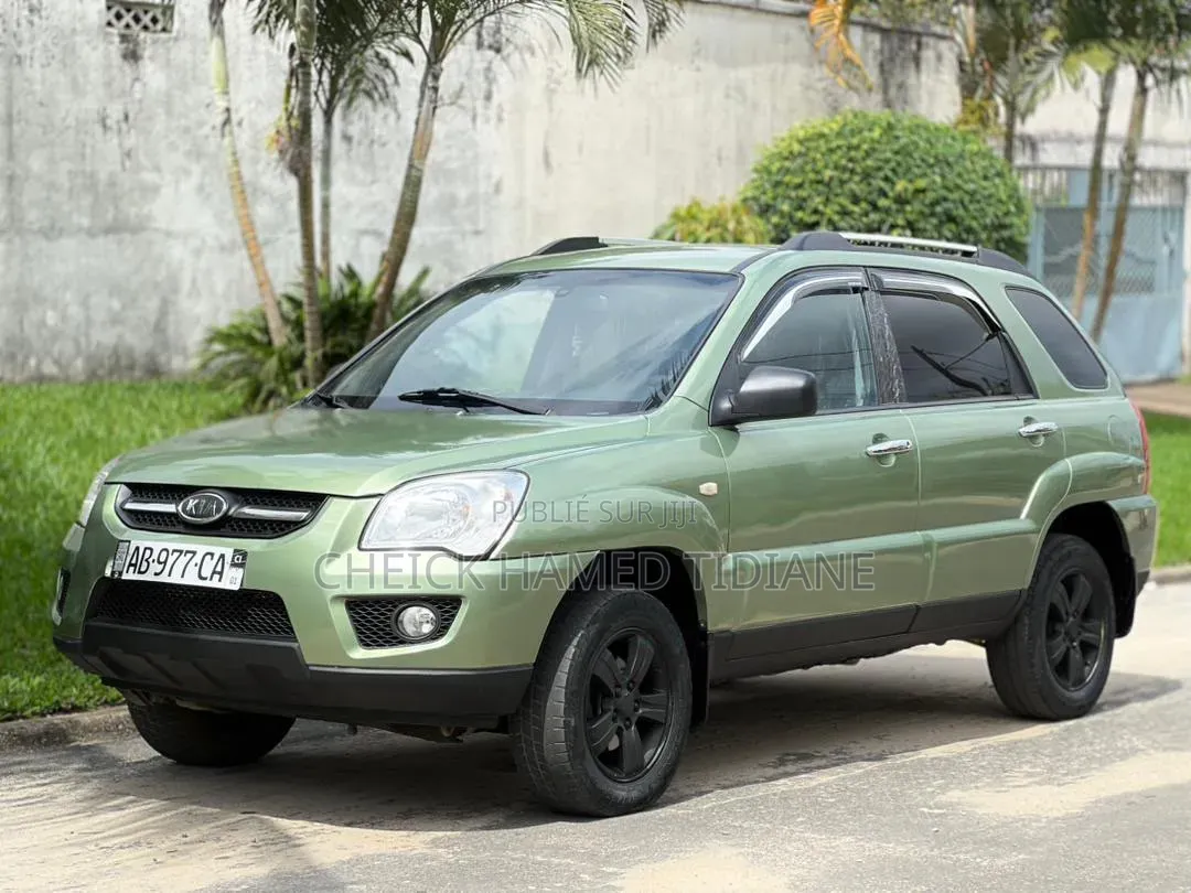 Kia Sportage 2010 Vert