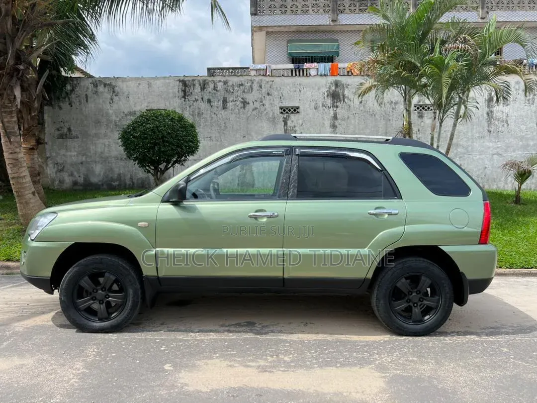 Kia Sportage 2010 Vert