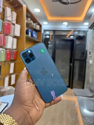 Nouveau Apple iPhone 12 Pro Max 256 GB Gris