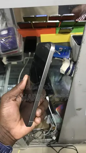 Apple iPhone 15 Pro Max 256 GB Argenté
