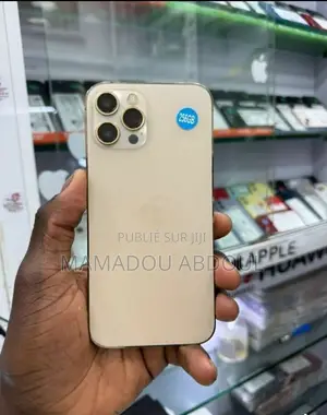 Nouveau Apple iPhone 12 Pro Max 128 GB Doré