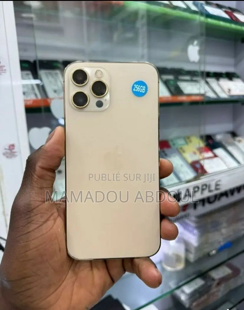 Nouveau Apple iPhone 12 Pro Max 128 GB Doré