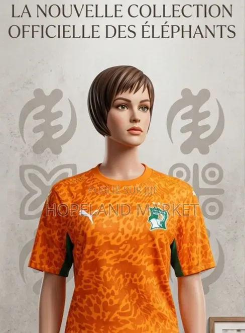 Maillot De Côte d'Ivoire