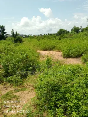 Mondoukou 2 Hectares Avec Acd en Vente