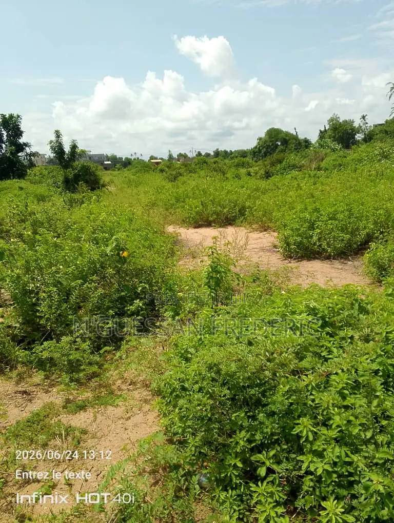 Mondoukou 2 Hectares Avec Acd en Vente