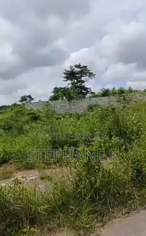  Opportunité De Terrains À Yamoussoukro 2 Terrains À Kami