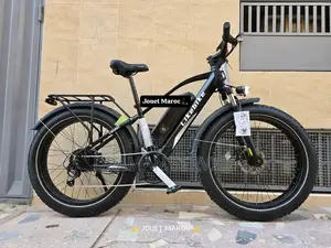 Vélo Électrique