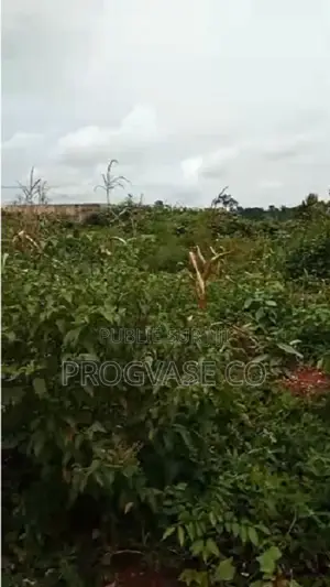 1 Ha 300 M2 Yakro /Morofé/ Ébènezer, Avec Acd en Vente