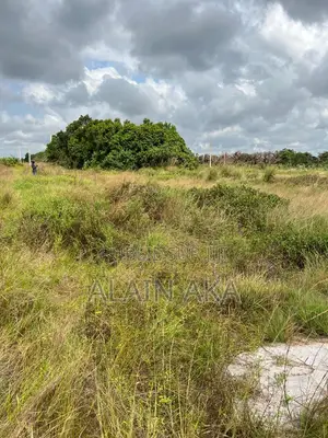 A Vendre À Assinie Terrains De 600m2 Avec Acd Disponible