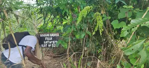 Location Ou Vente De Terrain