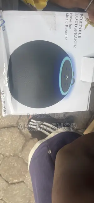 Portable Loudspeakers