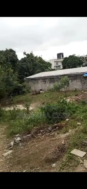 Alfalah Immobilier* Avis De Vente À *Cocodi Rivera Bonoumin Abidjan