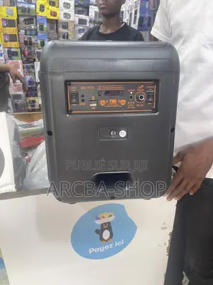 Party Box 3000w