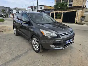 Ford Escape 2015 Gris