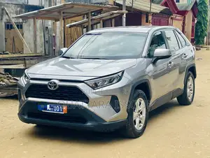 Toyota RAV4 Limited AWD 2020 Gris