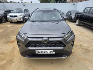 Toyota RAV4 XLE AWD 2019 Gris