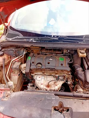 Peugeot 307 2007 Rouge