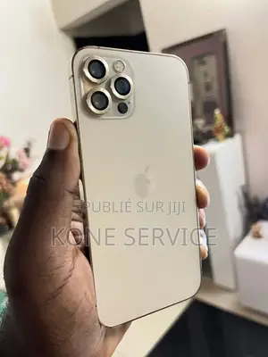 Nouveau Apple iPhone 12 Pro 256 GB Gris