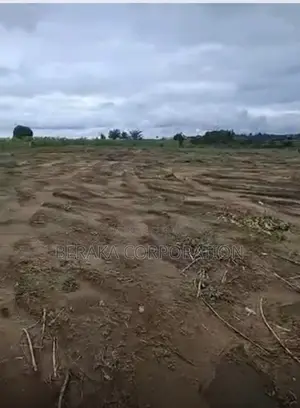 2,5 Hectares Avec Acd en Vente Zone Industrielle De Attingue