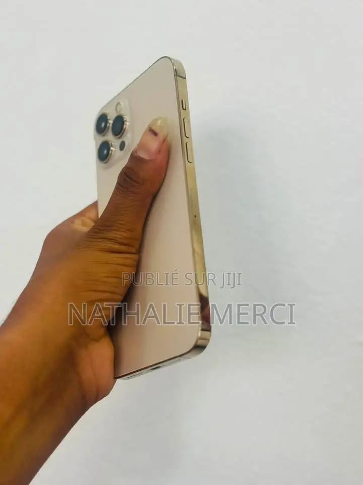 Nouveau Apple iPhone 12 Pro Max 256 GB Argenté
