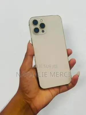 Nouveau Apple iPhone 12 Pro Max 256 GB Argenté