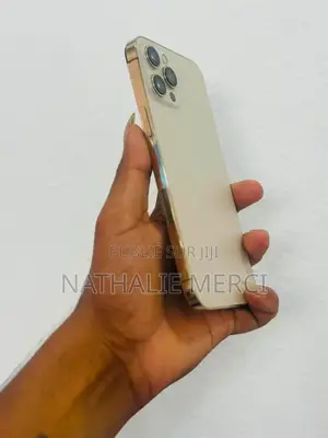 Nouveau Apple iPhone 12 Pro Max 256 GB Argenté