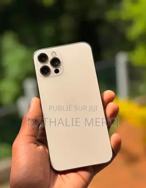 Nouveau Apple iPhone 12 Pro 256 GB Argenté