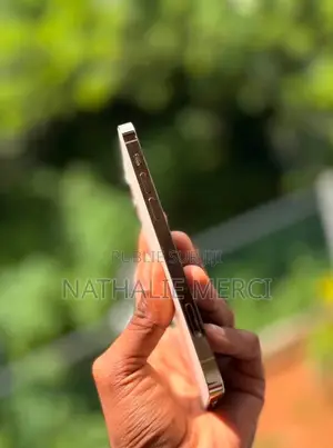 Nouveau Apple iPhone 12 Pro 256 GB Argenté