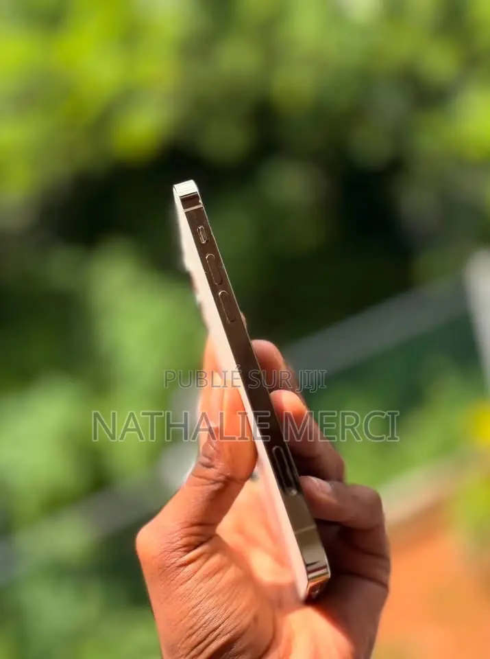 Nouveau Apple iPhone 12 Pro 256 GB Argenté